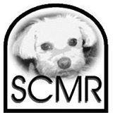 Southern Comfort Maltese Rescue