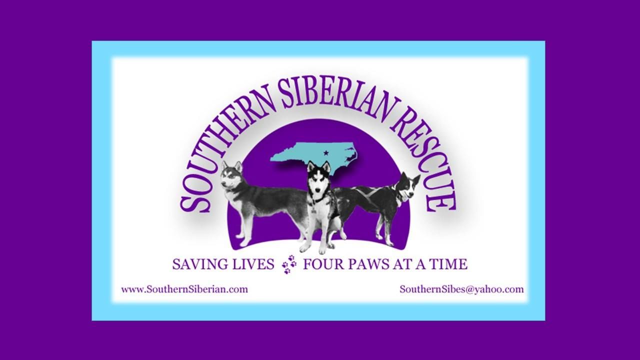 Southern Siberian Rescue 2023 Monthly Ca