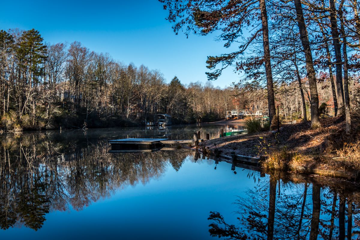 eyeseesouthcarolina