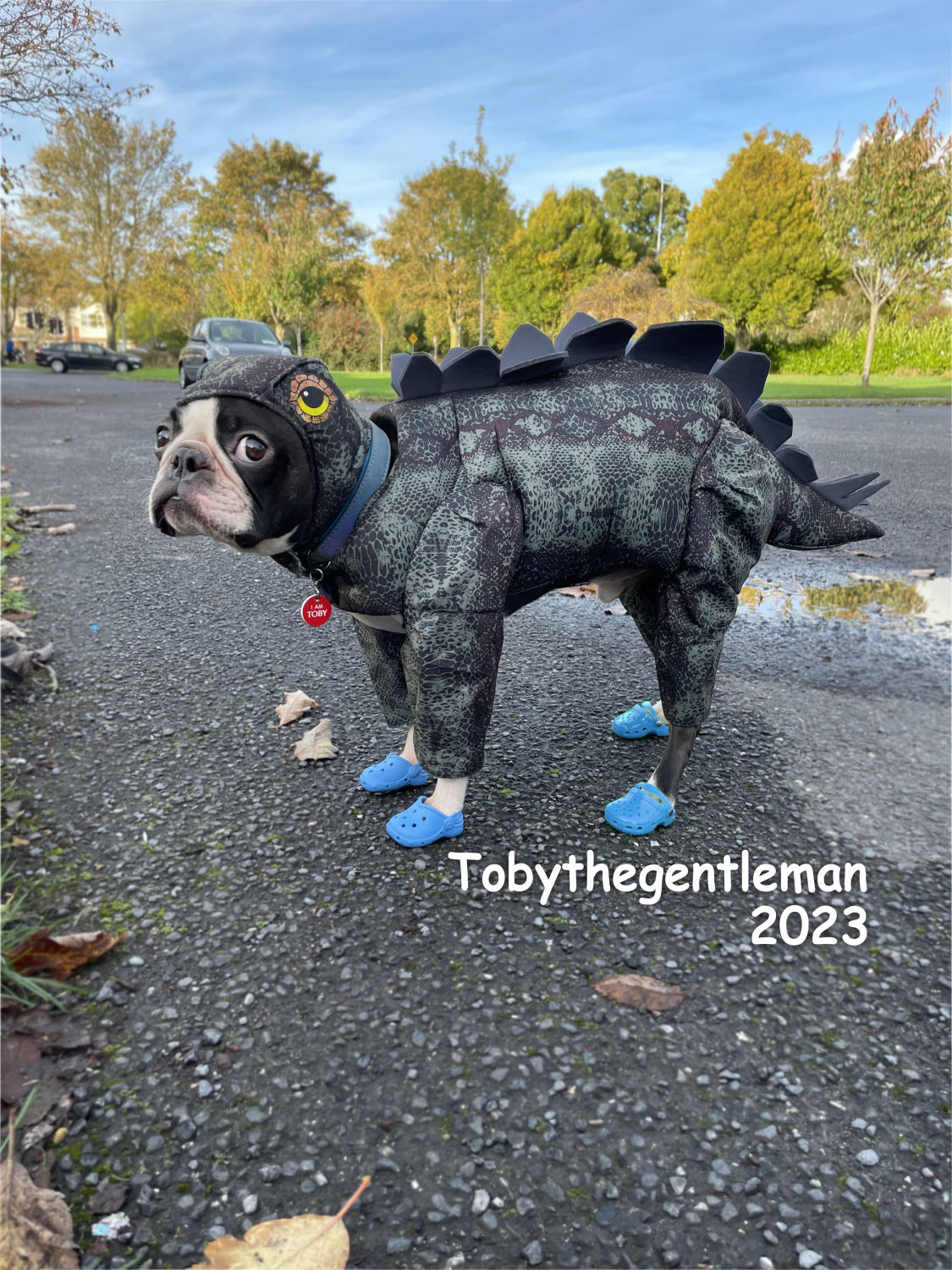 tobythegentleman