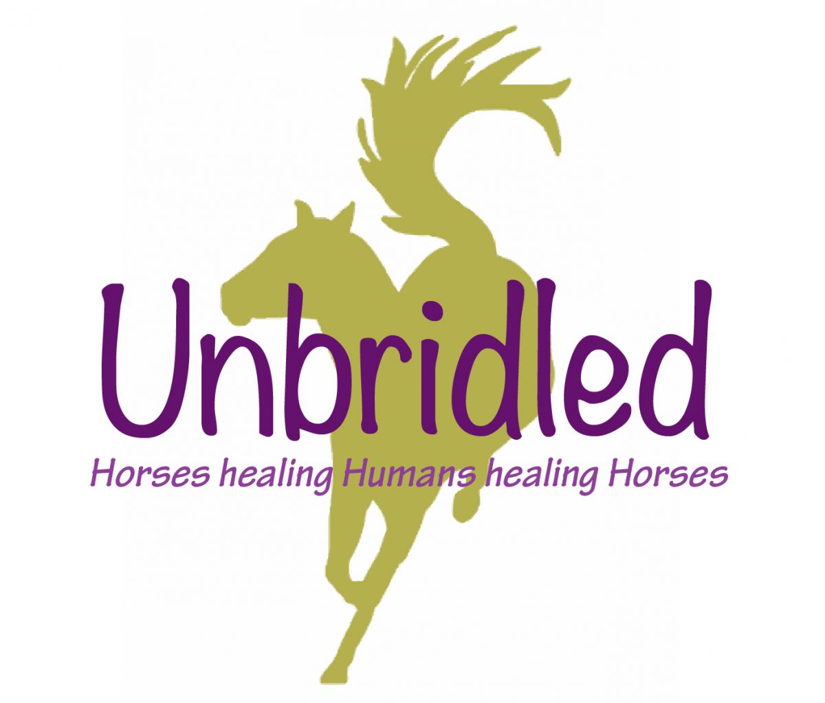 Unbridled LLC Web Shop