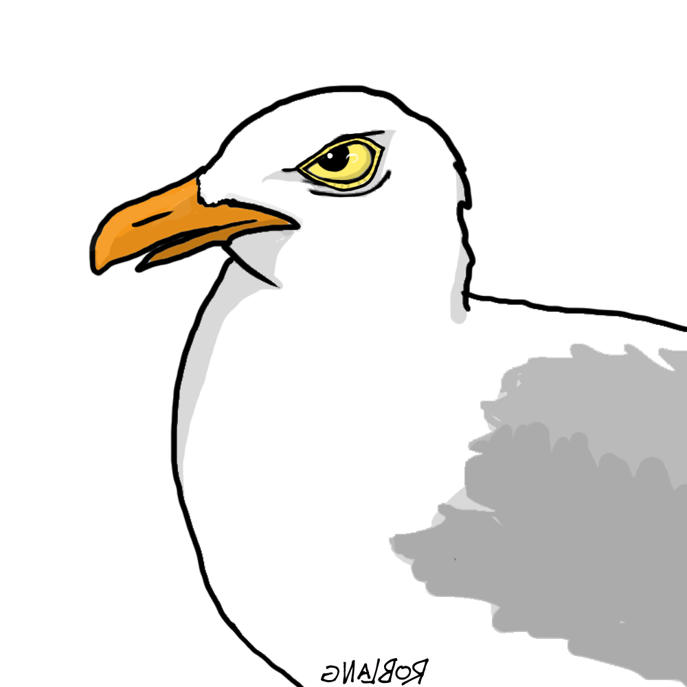 underdonecomics