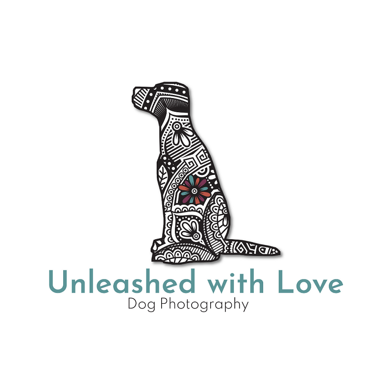 Unleashed with Love Dog Photography