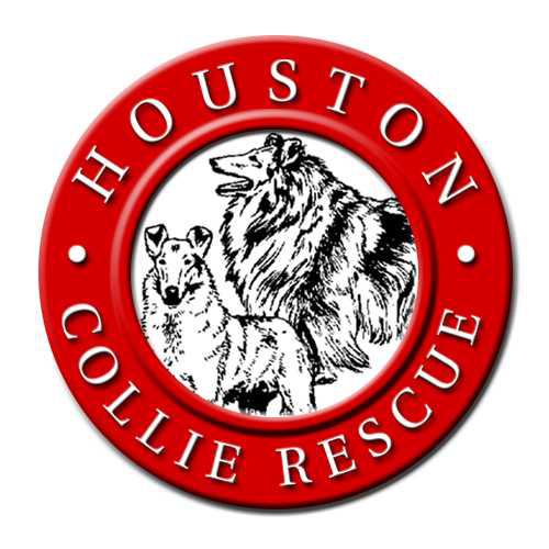 Collie Rescue Houston 2024