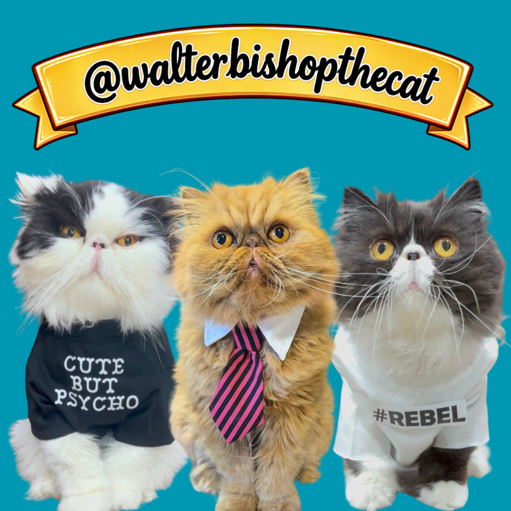 Walter Bishop The Cat