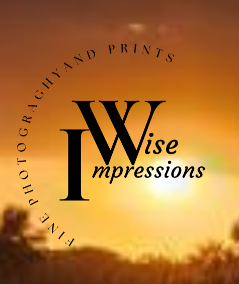 Wise Impressions