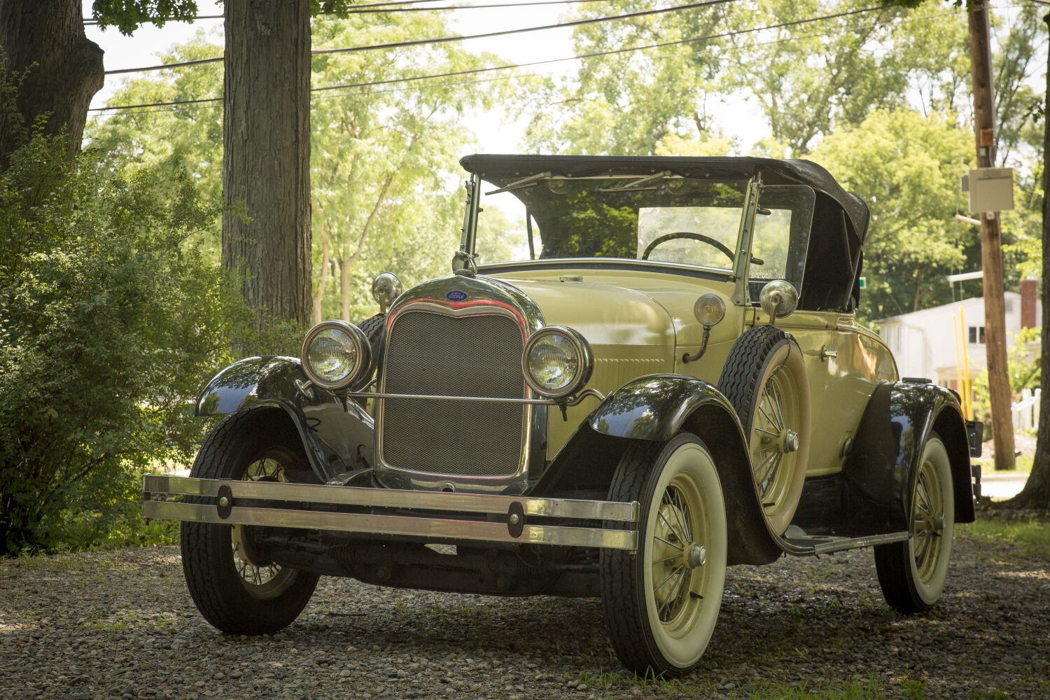 Shay Owners Club International