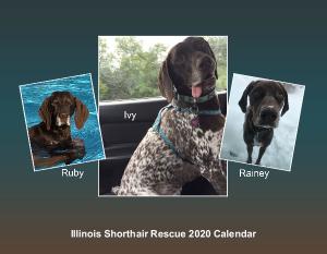 Illinois Shorthair Rescue 2020 Calendar Create Photo Calendars