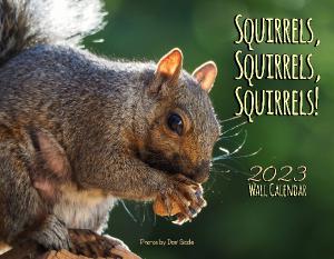 Squirrels, Squirrels, Squirrels! 2023 Calendar | Create Photo Calendars
