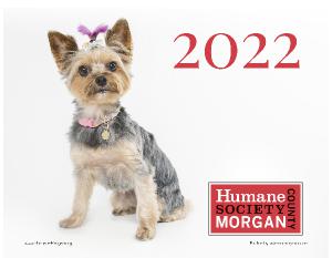 2022 Pet Calendar Humane Society Of Morgan County | Create Photo Calendars