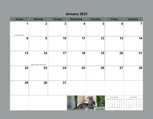 Silken Windhound Calendar 2023 | Create Photo Calendars