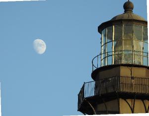 Tybee Island Calendar 2022 2022 Tybee Island 8.5X11 Wall Calendar - 7Th Ed. | Create Photo Calendars