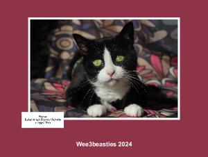 Wee3beasties 2024 Calendar | Create Photo Calendars